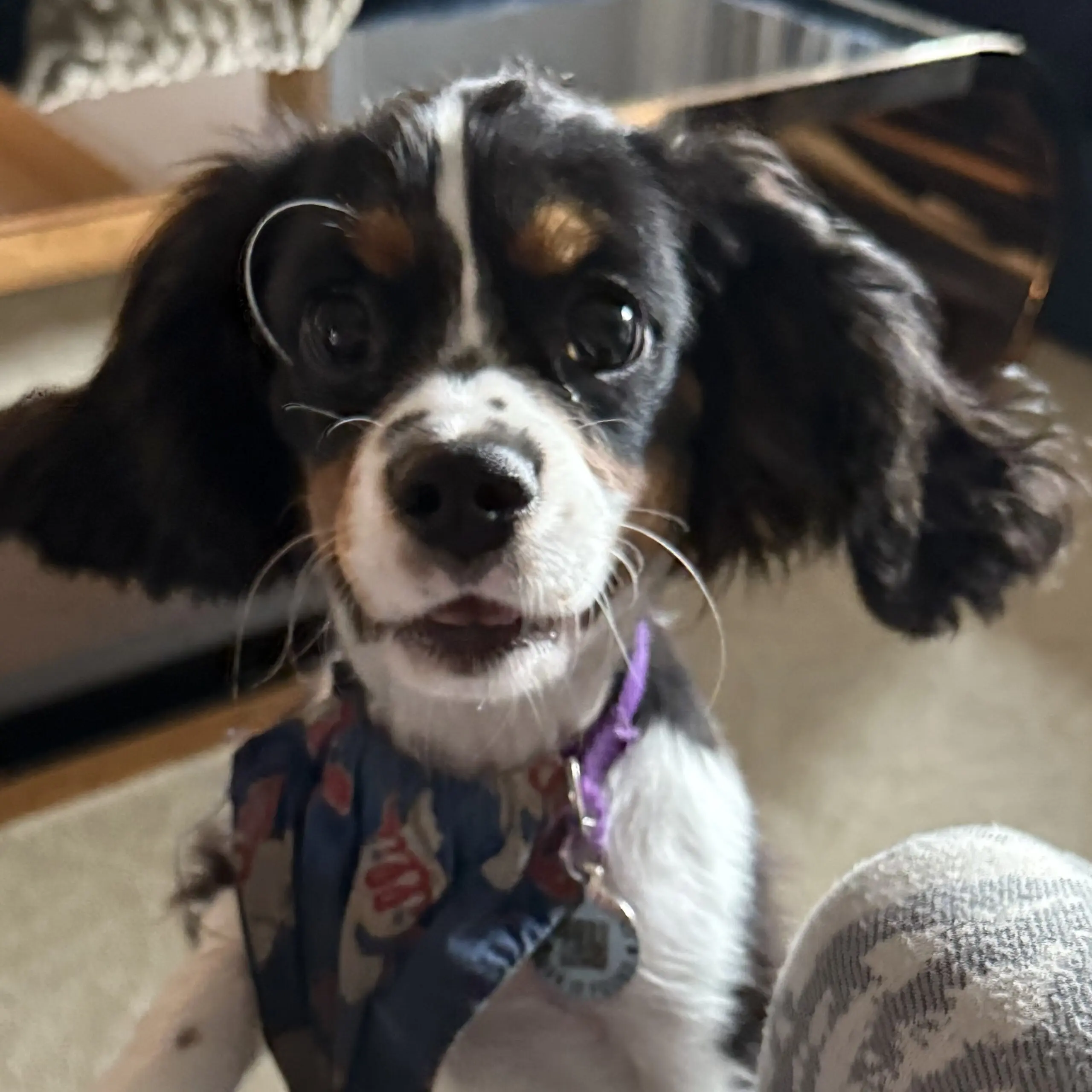 Kevin featured image